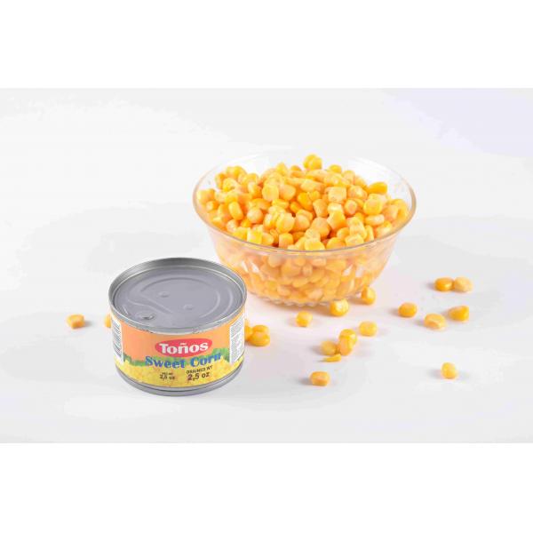 Quality Excellent Fine Taste Canned Sweet Corn Kernels Grade A Advanced Equipment for sale