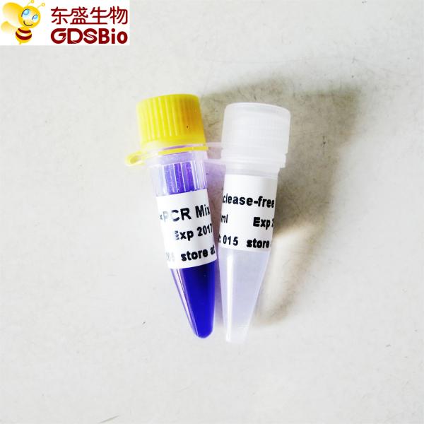 Quality 2x Taq PCR Reaction Mix P2011 1ml GDSBio Blue Buffer for sale