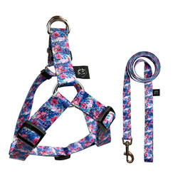 Quality No Pulling Collar Lead Harness Set 8kg Easy Walk Dog Harness for sale