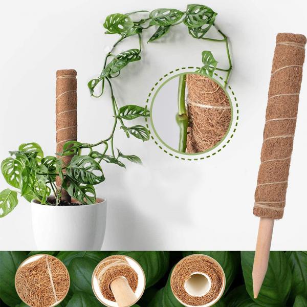 Quality 44cm Coir Moss Totem Pole Kit For Plants Climbing And Supporting Plants Coconut Pole for sale