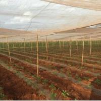 Quality Agriculture Insect Net for sale