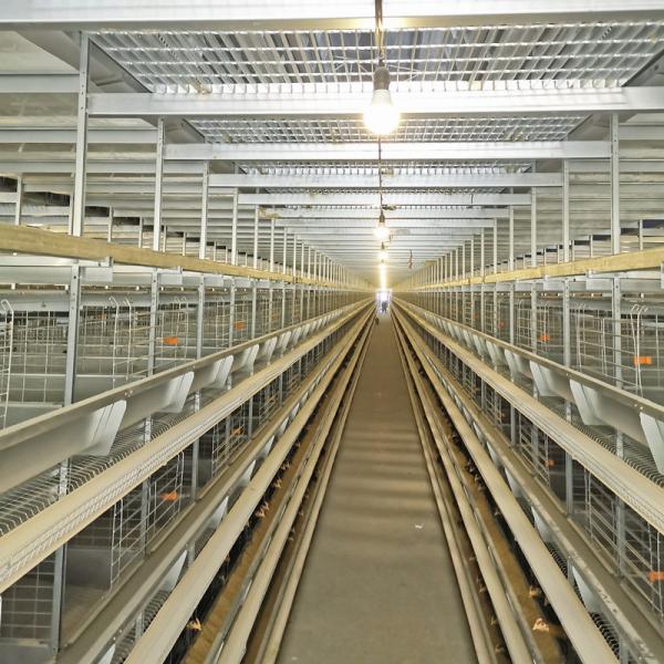 Quality 50000 Birds 5tiers Battery Chicken Cage Equipment Laying Hens Use ISO9001 Approval for sale