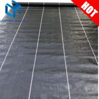 China Black color with green line weed mat/ground cover/slit fence/weed control mat for UK market factory