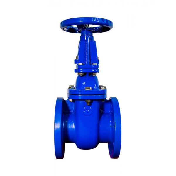 Quality ANSI Rising Stem Metal Seat Gate Valve 50 mm Ductile Iron for sale