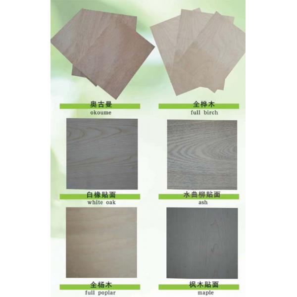 Quality 13mm 15mm 18mm 1220 x 2440 mm 4 x 8 Feet Die Board Plywood Dieboard For Diemaker for sale