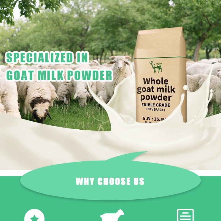 China HALAL Standard Goat Milk Protein Powder Rich A2 Beta Casein Protein factory