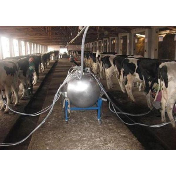 Quality Pipeline Cow / Goat Milking Parlor With A Milk Transport Conduit for sale