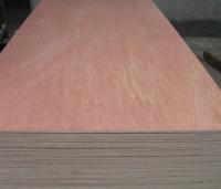 China Commercial plywood factory