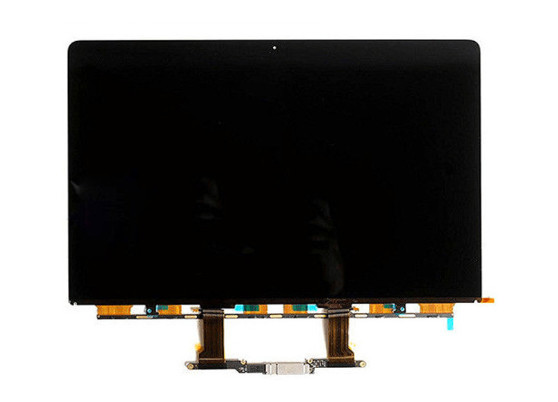 Quality Apple Macbook Pro A1990 A1707 Glass LCD Screen LP154WT5-SJA1 LP154WT5 for sale