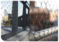 China Decorative Type Wire Rope Mesh Railing Fence Stainless Steel Ferruled factory