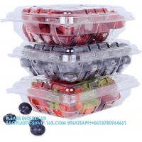 China Wholesale Transparent Fresh Strawberry Packaging Container Supermarket Food Plastic Box Plastic Strawberry Packing Box factory
