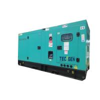 China Standby Power 220kW Diesel Generator Soundproof Canopy Powered By Chinese Diesel Engine factory