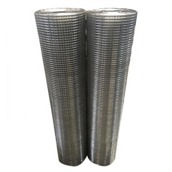 Quality Length 1-30m 304 Stainless Steel Welded Wire Mesh For Breeding And Isolation for sale