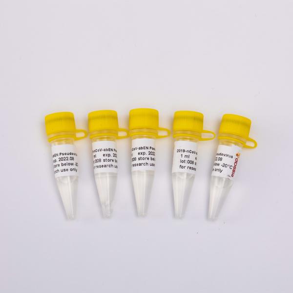 Quality GDSBio Nucleic Acid Purification Kit 2019-NCoV-AbEN Pseudovirus V1001 V1002 V1003 for sale