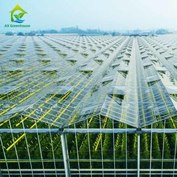 Quality Anti Fog Hollow Tempered Glass Greenhouse Panels Greenhouse Roof Cover for sale