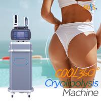 China Weight Loss Coolsculpting Cryolipolysis Machine , Cryotherapy Fat Freezing Machine for sale