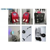 China Multifunctional Cryolipolysis Slimming Machine / Belly Fat Removal Machine for sale