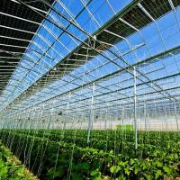 China Intelligent Adjustable Height Greenhouse Lightweight Solar System Frame Photovoltaic Agricultural Mounting Structure factory
