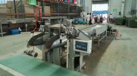 China Onion / Garic Automatic Potato Bagger Plastic Bag Weighing And Filling Machine factory