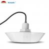 China 12v 1500LM 18X1W Waterproof Pool Light White Color IP68 Vinyl Pool Spa Light factory