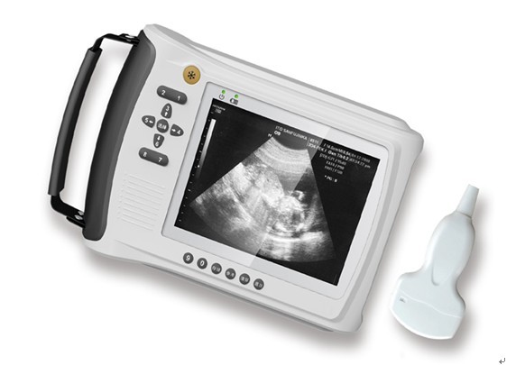 Quality Mini Ultrasound Machine Veterinary Ultrasound Scanner With 6.5MHz Linear Rectal for sale