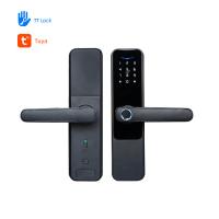 china 5VDC TTlock Smart Lock Biometric Keyless Smart Door Lock Wifi App Control