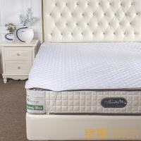 China 233TC Cotton Washable Mattress Pillow Protector Anti Bed Bug Pad factory