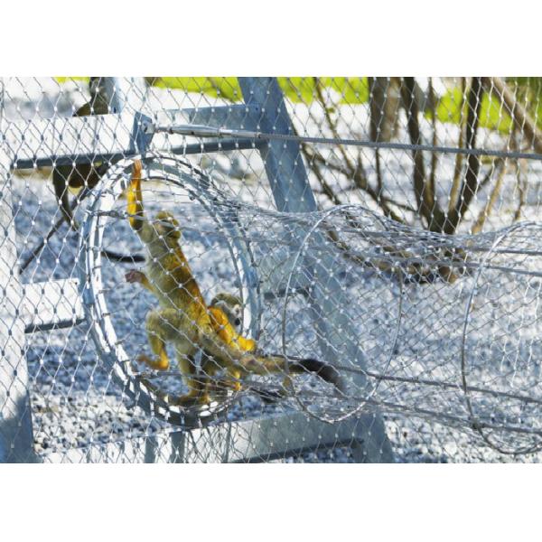 Quality X Tend Flexible Steel Mesh Knotted Woven Cable Animal Enclosure For Lion / Bird for sale
