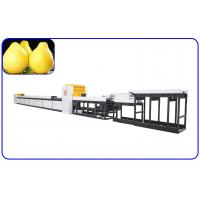 China 380V Automatic Fruit Sorting And Grading Machine factory