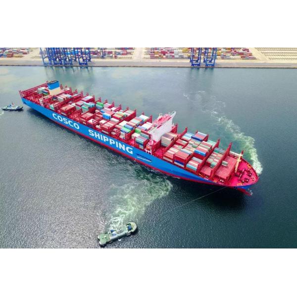 Quality Agent to Middle East International Freight Forwarding Services PCL LCL for sale