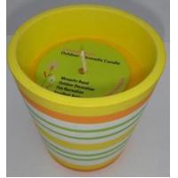 China Yellow Citronella terracotta pot scented candle with the printed hang tag factory