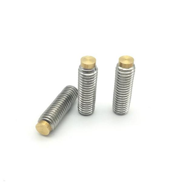 Quality Long 304 Stainless Steel M2 Set Screws , GB Brass Tipped Grub Screws for sale