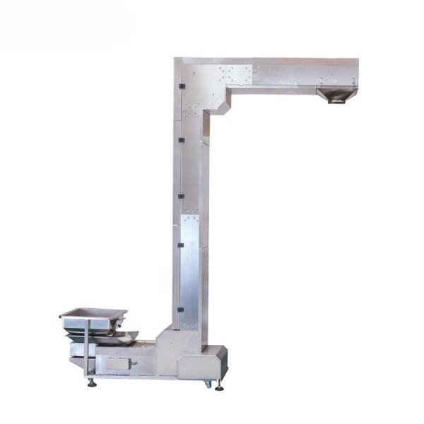 Quality 6kg Chicken Legs High Speed Frozen Food Packing Machine for sale