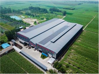 China Factory - Shandong Sennai Intelligent Technology Co., Ltd.