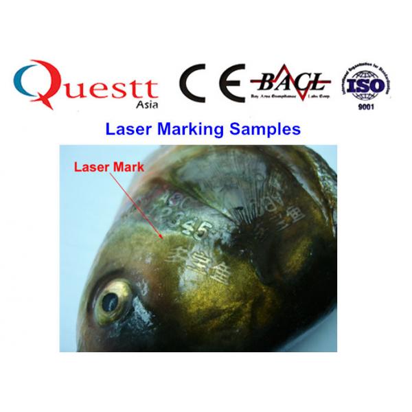 Quality 20W Telescopic Door Desktop Laser Marking Machine With 1064nm Wavelength for sale