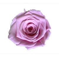 China natural preserved roses at cheap price Everlasting Flowers Home Decoration Christmas gift factory