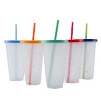 China 2020 Color Changing Color Confetti Reusable Cold Drink Cups Summer 24 oz Reusable Cups factory