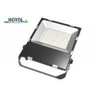 China Meanwell Driver /  Leds Outdoor LED Flood Lights 100W Industrial Lighting factory