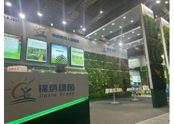 China Factory - Xiong County Mozhou Town Jinxiuqiancheng Artificial Lawn Factory