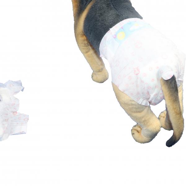 Quality Soft Cotton Puppy Pads Disposable Pet Diapers Adjustable Waist For Female Dogs for sale