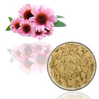 China Pure Natural Plant Extract Powder Echinacea Purpurea Extract Powder Bulk factory