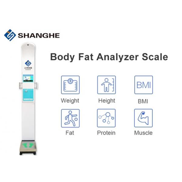 Quality Eletronic Balance Body Composition Analyzer Machine , White Medical Body Composition Analyzer for sale