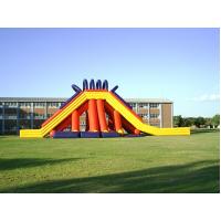 China PVC Tarpaulin Safety Giant Inflatable Slide For Adult And Kids factory