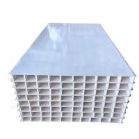 Quality White Hollow Cleanroom Sandwich Panel Magnesium EPS Rockwool for sale