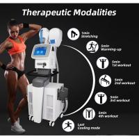 China HI-EMT 7 Tesla EMS Sculpting Machine: Build Muscle Fast and Non-Invasively factory