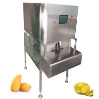 Quality 400 KG Fruit Vegetable Processing Machine Pineapple Peeling Machine for sale