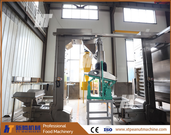 Quality Z Shape Peanut Processing Machines Automatic Z Type Bucket Elevator For Peanuts for sale