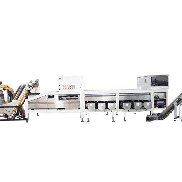 Quality Auto Walnut Shelling Machine With Kernel Shell Separation for sale