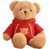 China 30cm Red Cute Little Hoodie Teddy Bear Plush Toys Girl Sleeping Pillow factory