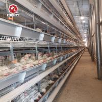 China 65*62.5*50 Cm Size Battery Cage Chicken Farming For Rearing House factory
